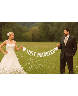 Vintage Just Married Banner